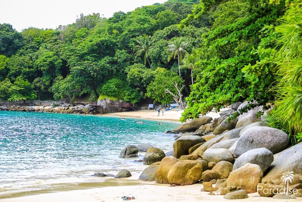 Paradise Beach Backpackers Hostel Patong Bagian luar foto